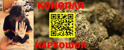 крисы Краснознаменск
