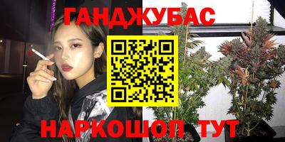 крисы Краснознаменск